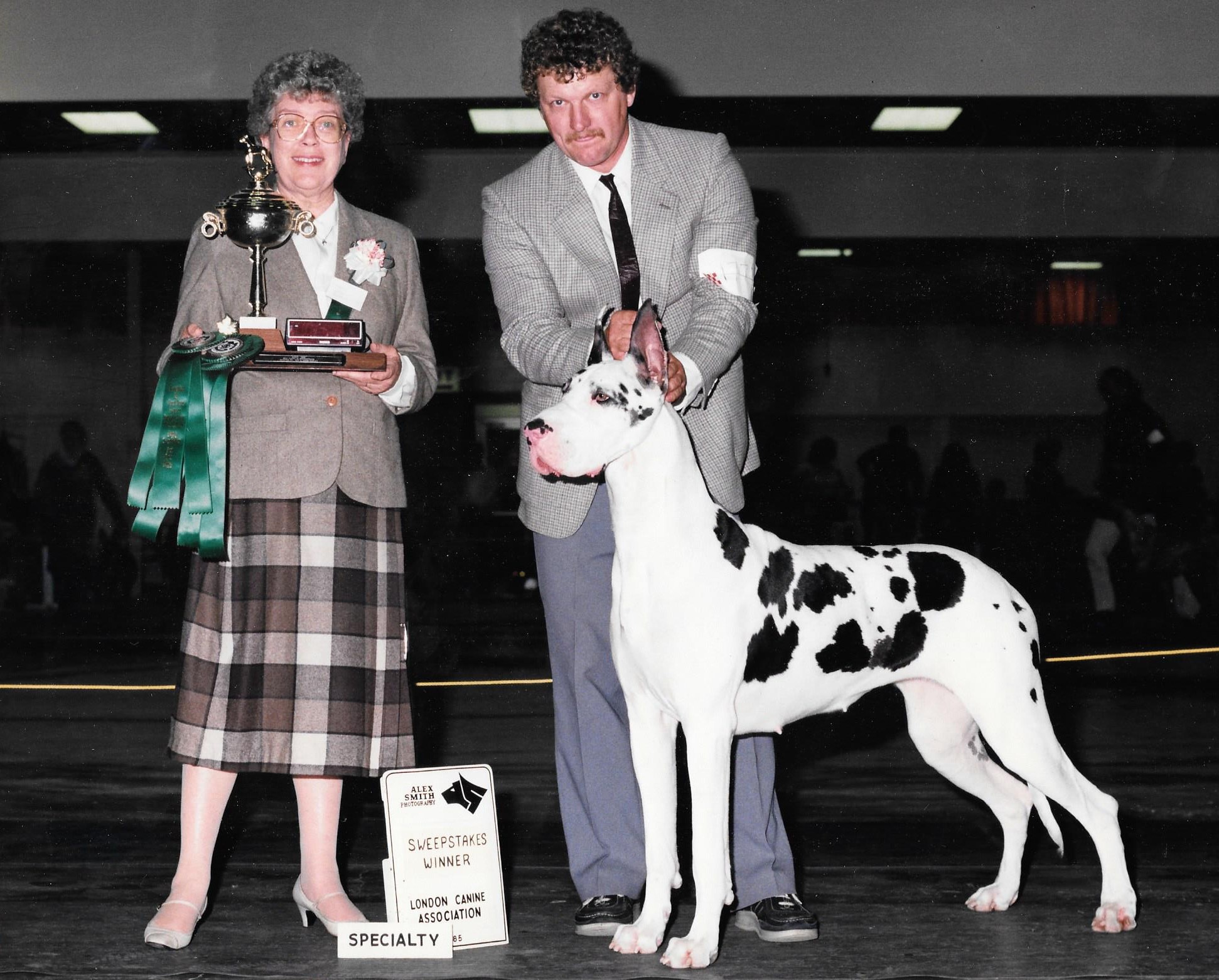 London Canine Association Sweepstakes